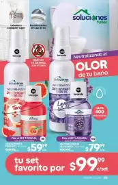 Catálogo Fuller Página 69