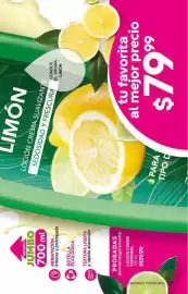 Catálogo Fuller Página 7