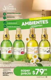 Catálogo Fuller Página 75