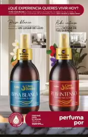 Catálogo Fuller Página 76