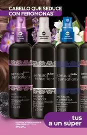 Catálogo Fuller Página 98