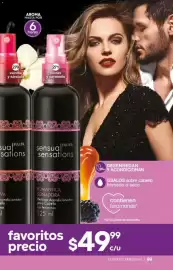 Catálogo Fuller Página 99