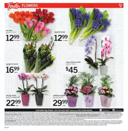 Loblaws flyer week 9 Page 9