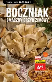 Biedronka gazetka tydzień 9 Strona 24