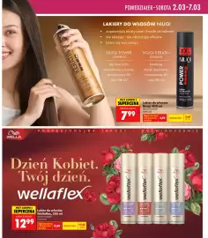 Biedronka gazetka Strona 13