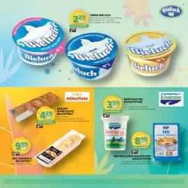 Stokrotka Market gazetka Strona 8