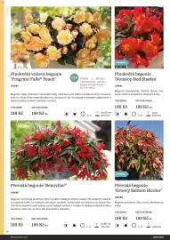 Starkl katalog Strana 10