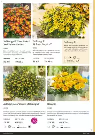 Starkl katalog Strana 11