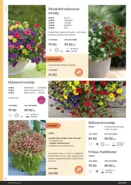 Starkl katalog Strana 12