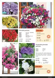 Starkl katalog Strana 13