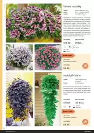 Starkl katalog Strana 14