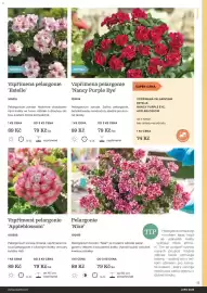 Starkl katalog Strana 15
