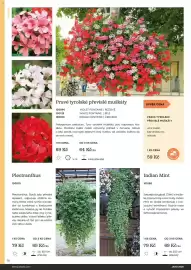 Starkl katalog Strana 16