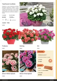 Starkl katalog Strana 17