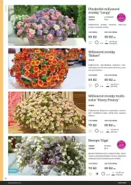 Starkl katalog Strana 18
