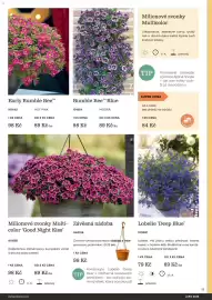 Starkl katalog Strana 19