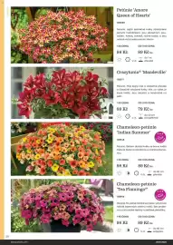 Starkl katalog Strana 20