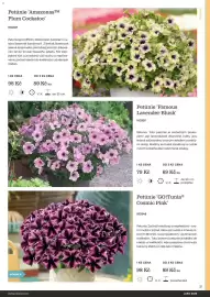 Starkl katalog Strana 21