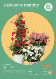 Starkl katalog Strana 23