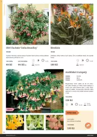 Starkl katalog Strana 24
