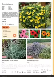 Starkl katalog Strana 25