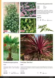 Starkl katalog Strana 26