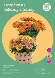 Starkl katalog Strana 3