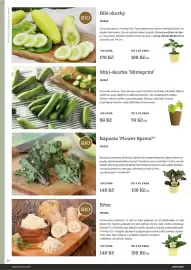 Starkl katalog Strana 34