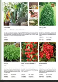 Starkl katalog Strana 38