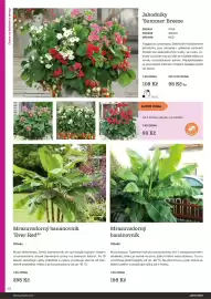 Starkl katalog Strana 40
