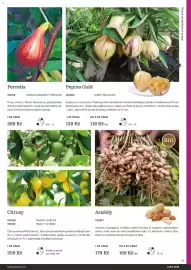 Starkl katalog Strana 41