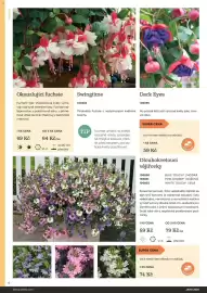 Starkl katalog Strana 6