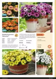 Starkl katalog Strana 7