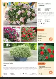 Starkl katalog Strana 8