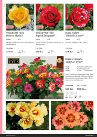 Starkl katalog Strana 100