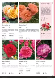 Starkl katalog Strana 101