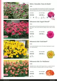 Starkl katalog Strana 102