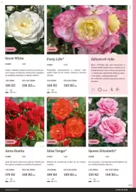 Starkl katalog Strana 103