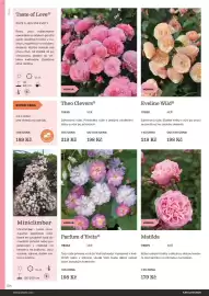 Starkl katalog Strana 104