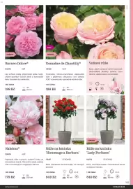 Starkl katalog Strana 105