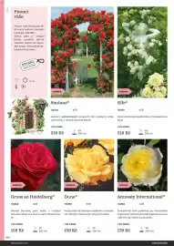 Starkl katalog Strana 106