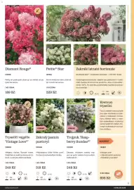 Starkl katalog Strana 11