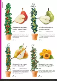 Starkl katalog Strana 114