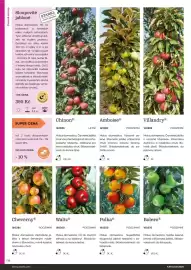 Starkl katalog Strana 116