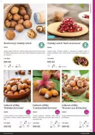 Starkl katalog Strana 117