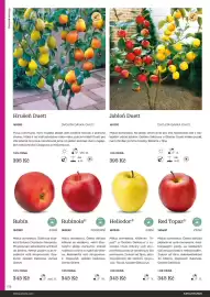 Starkl katalog Strana 118