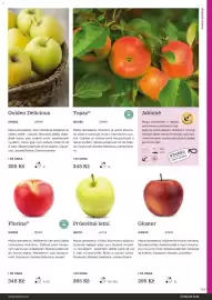 Starkl katalog Strana 119