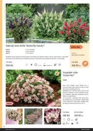 Starkl katalog Strana 12