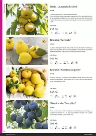 Starkl katalog Strana 120