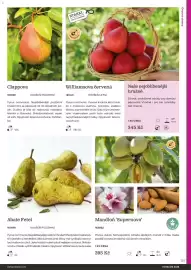 Starkl katalog Strana 121